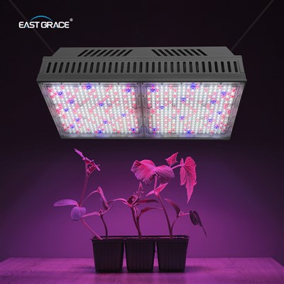 1200W Top1930E LED Grow Light