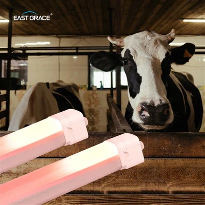 LED Dairy Lad lysarmatur